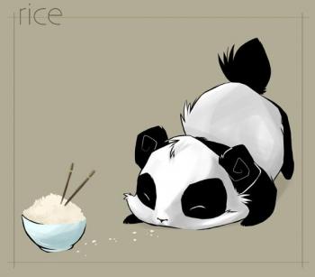 panda-riz.jpg